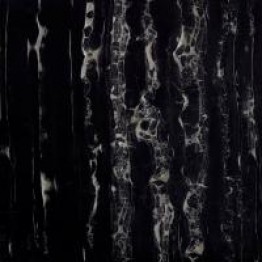 Gạch Trường Thịnh BLACK & WHITE FASHION CGA8811K